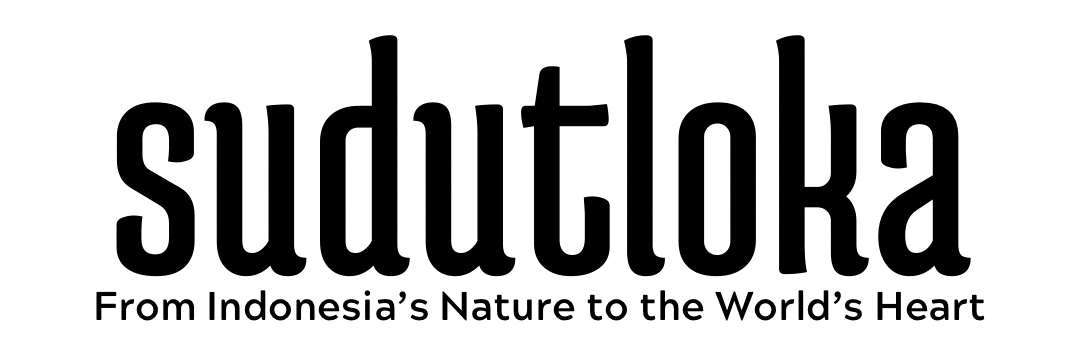 Home Decoration Supplier